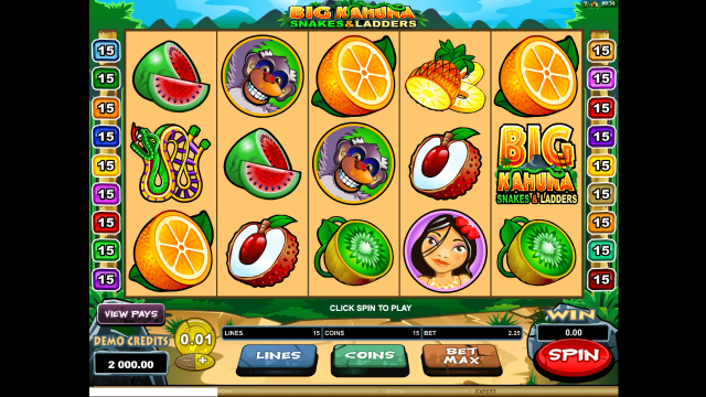 Big Kahuna Snakes And Ladders 1